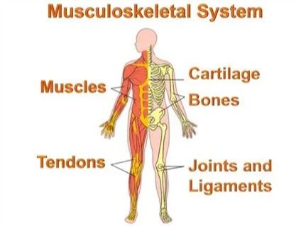 MSK